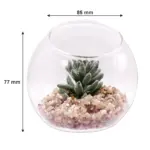 Kitchen & Home Décor